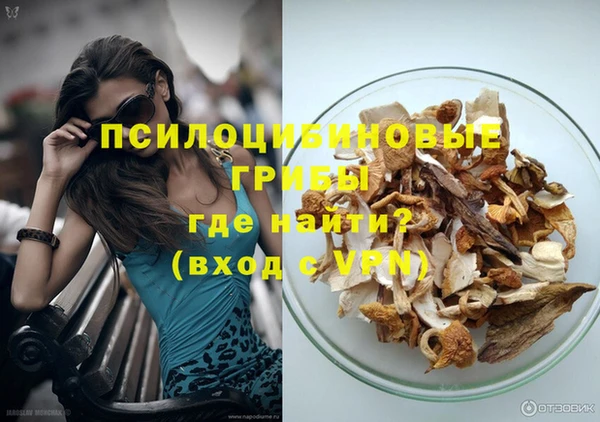 spice Бугульма