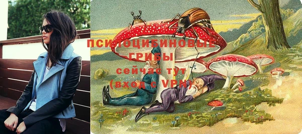 ECSTASY Бронницы